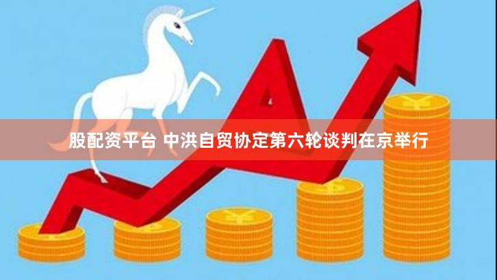 股配资平台 中洪自贸协定第六轮谈判在京举行