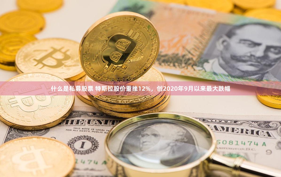 什么是私募股票 特斯拉股价重挫12%，创2020年9月以来最大跌幅