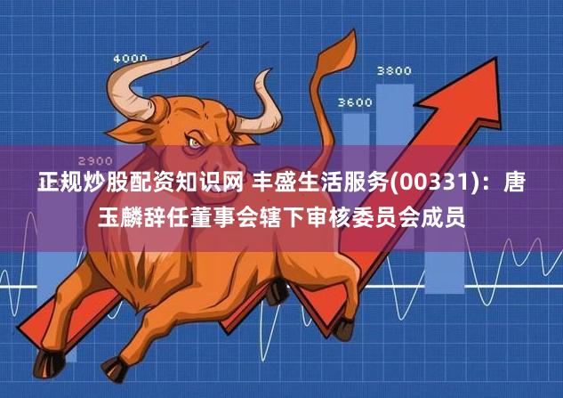 正规炒股配资知识网 丰盛生活服务(00331)：唐玉麟辞任董事会辖下审核委员会成员