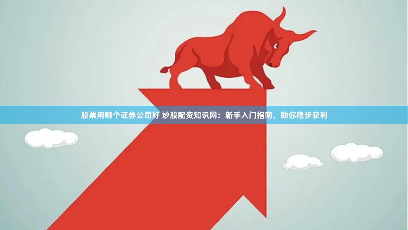 股票用哪个证券公司好 炒股配资知识网：新手入门指南，助你稳步获利